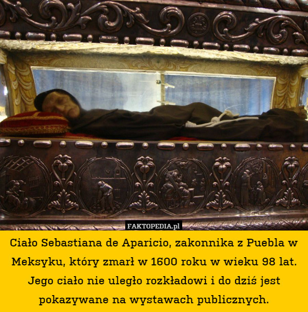 Ciało Sebastiana de Aparicio, zakonnika z Puebla w Meksyku, który zmarł w 1600 roku w wieku 98 lat. Jego ciało nie uległo rozkładowi i do dziś jest pokazywane na wystawach publicznych. 