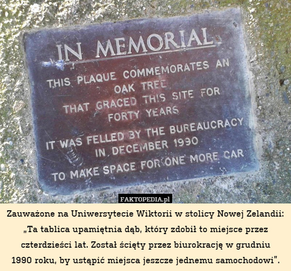 Zauważone na Uniwersytecie Wiktorii w stolicy Nowej Zelandii: „Ta tablica upamiętnia dąb, który zdobił to miejsce przez czterdzieści lat. Został ścięty przez biurokrację w grudniu
1990 roku, by ustąpić miejsca jeszcze jednemu samochodowi”. 