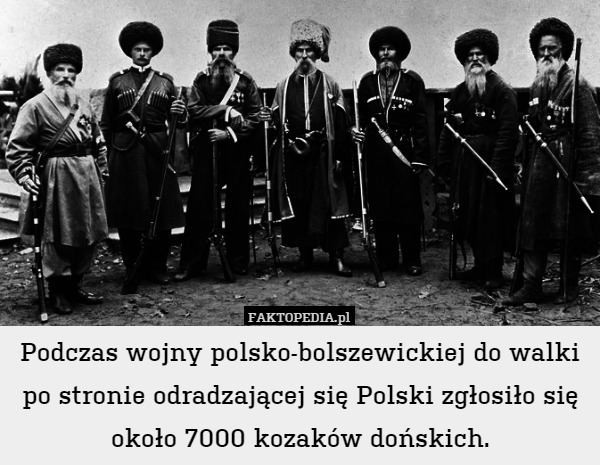 Podczas wojny polsko-bolszewickiej do walki po stronie odradzającej się Polski zgłosiło się około 7000 kozaków dońskich. 