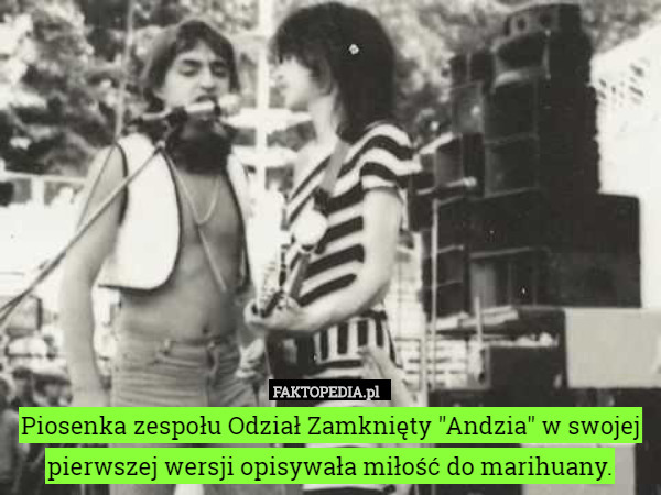 Piosenka zespołu Odział Zamknięty "Andzia" w swojej pierwszej wersji opisywała miłość do marihuany. 