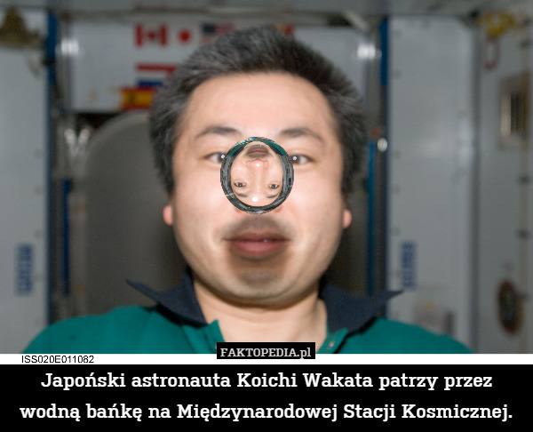 Japoński astronauta Koichi Wakata patrzy przez wodną bańkę na Międzynarodowej Stacji Kosmicznej. 