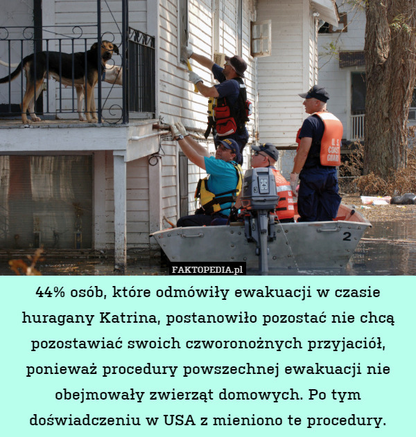 44% osób, które odmówiły ewakuacji w czasie huragany Katrina, postanowiło pozostać nie chcą pozostawiać swoich czworonożnych przyjaciół, ponieważ procedury powszechnej ewakuacji nie obejmowały zwierząt domowych. Po tym doświadczeniu w USA z mieniono te procedury. 