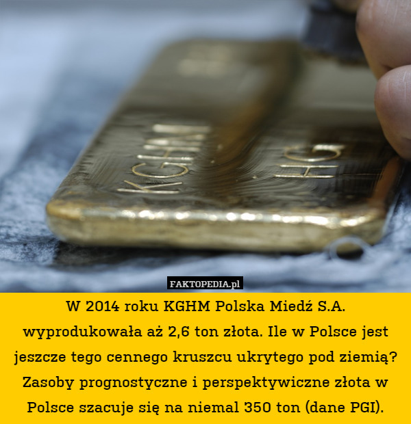 W 2014 roku KGHM Polska Miedź S.A. wyprodukowała aż 2,6 ton złota. Ile w Polsce jest jeszcze tego cennego kruszcu ukrytego pod ziemią? Zasoby prognostyczne i perspektywiczne złota w Polsce szacuje się na niemal 350 ton (dane PGI). 