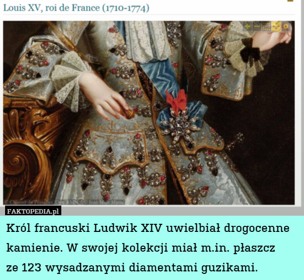 Król francuski Ludwik XIV uwielbiał drogocenne kamienie. W swojej kolekcji miał m.in. płaszcz
ze 123 wysadzanymi diamentami guzikami. 