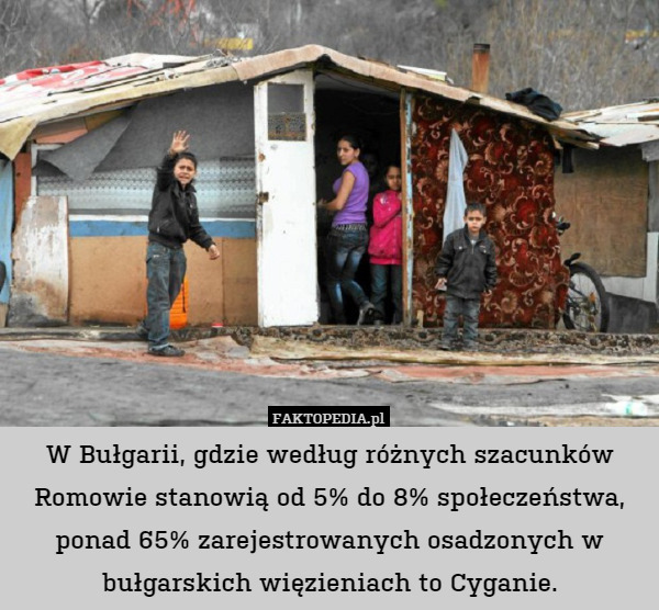 W Bułgarii, gdzie według różnych szacunków Romowie stanowią od 5% do 8% społeczeństwa, ponad 65% zarejestrowanych osadzonych w bułgarskich więzieniach to Cyganie. 