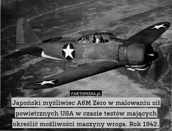 Japoński myśliwiec A6M Zero w malowaniu sił powietrznych USA w czasie testów mających określić możliwości maszyny wroga. Rok 1942. 