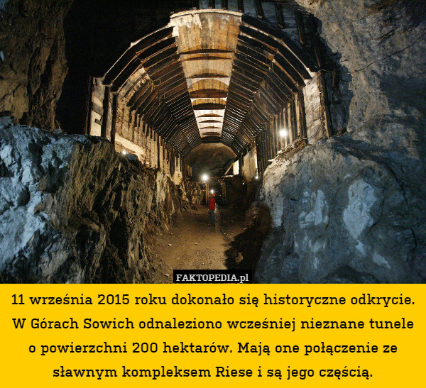 11 września 2015 roku dokonało się historyczne odkrycie. W Górach Sowich odnaleziono wcześniej nieznane tunele o powierzchni 200 hektarów. Mają one połączenie ze sławnym kompleksem Riese i są jego częścią. 