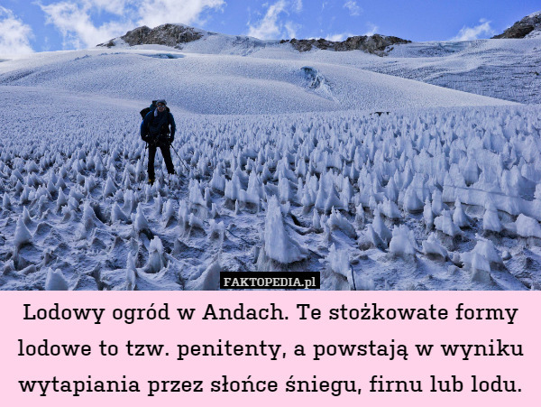 Lodowy ogród w Andach. Te stożkowate formy lodowe to tzw. penitenty, a powstają w wyniku wytapiania przez słońce śniegu, firnu lub lodu. 
