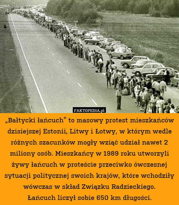 „Bałtycki łańcuch” to masowy protest mieszkańców dzisiejszej Estonii, Litwy i Łotwy, w którym wedle różnych szacunków mogły wziąć udział nawet 2 miliony osób. Mieszkańcy w 1989 roku utworzyli żywy łańcuch w proteście przeciwko ówczesnej sytuacji politycznej swoich krajów, które wchodziły wówczas w skład Związku Radzieckiego.
Łańcuch liczył sobie 650 km długości. 