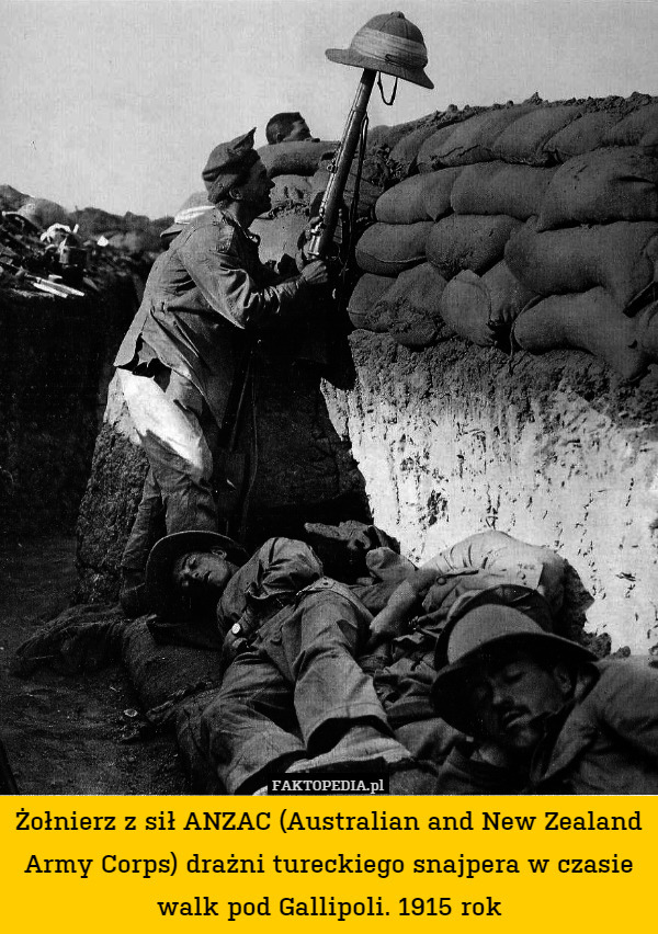 Żołnierz z sił ANZAC (Australian and New Zealand Army Corps) drażni tureckiego snajpera w czasie walk pod Gallipoli. 1915 rok 
