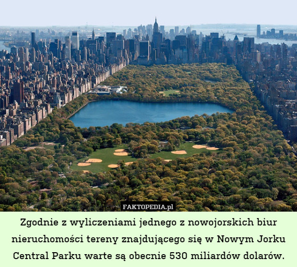 Zgodnie z wyliczeniami jednego z nowojorskich biur nieruchomości tereny znajdującego się w Nowym Jorku Central Parku warte są obecnie 530 miliardów dolarów. 