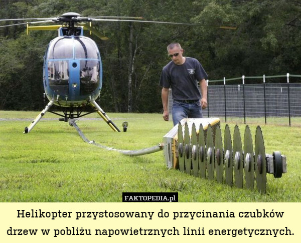 Helikopter przystosowany do przycinania czubków drzew w pobliżu napowietrznych linii energetycznych. 