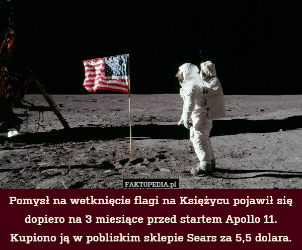 Pomysł na wetknięcie flagi na Księżycu pojawił się dopiero na 3 miesiące przed startem Apollo 11. Kupiono ją w pobliskim sklepie Sears za 5,5 dolara. 