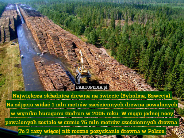 Największa składnica drewna na świecie (Byholma, Szwecja).
Na zdjęciu widać 1 mln metrów sześciennych drewna powalonych w wyniku huraganu Gudrun w 2005 roku. W ciągu jednej nocy powalonych zostało w sumie 75 mln metrów sześciennych drewna. To 2 razy więcej niż roczne pozyskanie drewna w Polsce. 