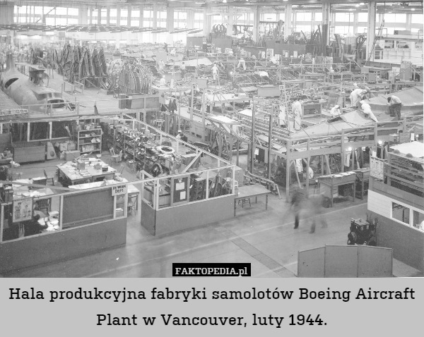 Hala produkcyjna fabryki samolotów Boeing Aircraft Plant w Vancouver, luty 1944. 