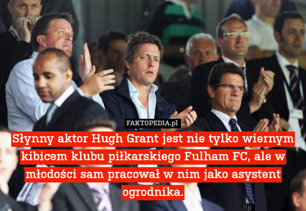 Słynny aktor Hugh Grant jest nie tylko wiernym kibicem klubu piłkarskiego Fulham FC, ale w młodości sam pracował w nim jako asystent ogrodnika. 