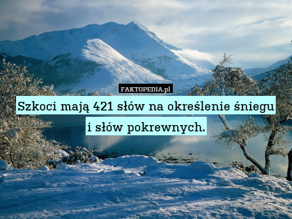 Szkoci mają 421 słów na określenie śniegu
i słów pokrewnych. 
