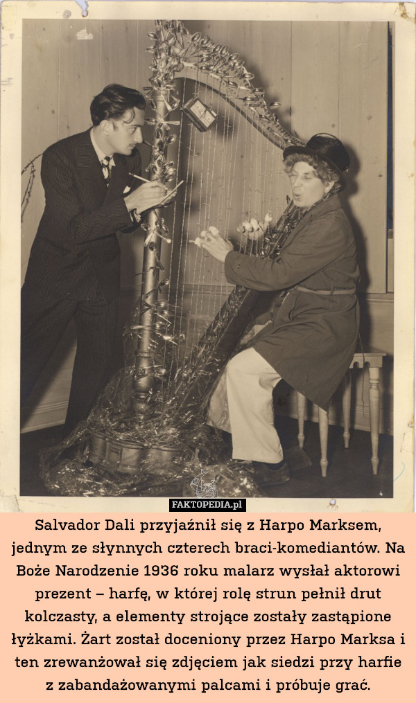 Salvador Dali przyjaźnił się z Harpo Marksem, jednym ze słynnych czterech braci-komediantów. Na Boże Narodzenie 1936 roku malarz wysłał aktorowi prezent – harfę, w której rolę strun pełnił drut kolczasty, a elementy strojące zostały zastąpione łyżkami. Żart został doceniony przez Harpo Marksa i ten zrewanżował się zdjęciem jak siedzi przy harfie z zabandażowanymi palcami i próbuje grać. 