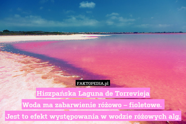 Hiszpańska Laguna de Torrevieja
Woda ma zabarwienie różowo – fioletowe. 
Jest to efekt występowania w wodzie różowych alg. 