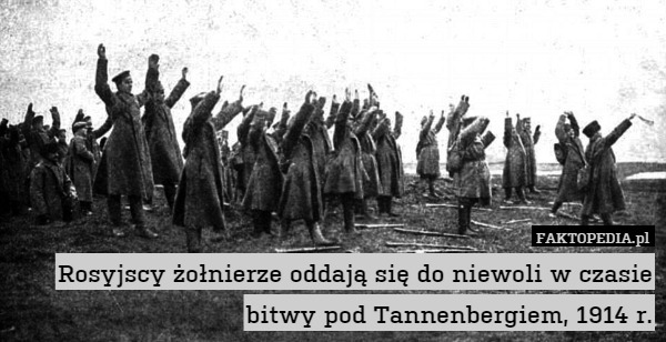 Rosyjscy żołnierze oddają się do niewoli w czasie bitwy pod Tannenbergiem, 1914 r. 