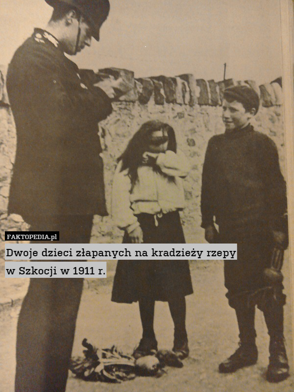 Dwoje dzieci złapanych na kradzieży rzepy
w Szkocji w 1911 r. 