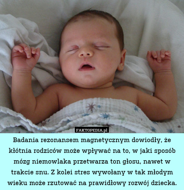 Badania rezonansem magnetycznym dowiodły, że kłótnia rodziców może wpływać na to, w jaki sposób mózg niemowlaka przetwarza ton głosu, nawet w trakcie snu. Z kolei stres wywołany w tak młodym wieku może rzutować na prawidłowy rozwój dziecka. 