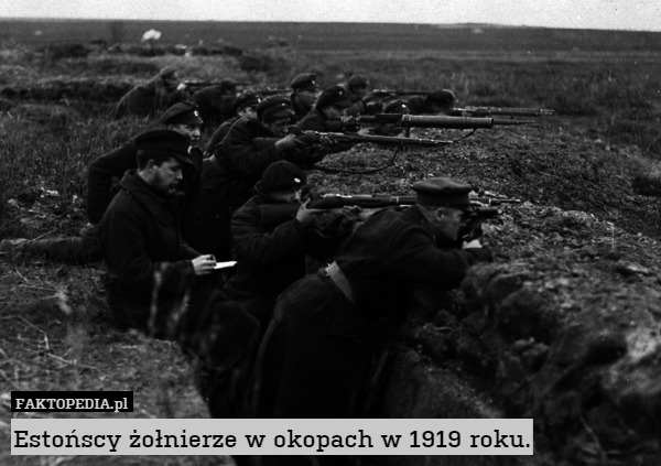 Estońscy żołnierze w okopach w 1919 roku. 
