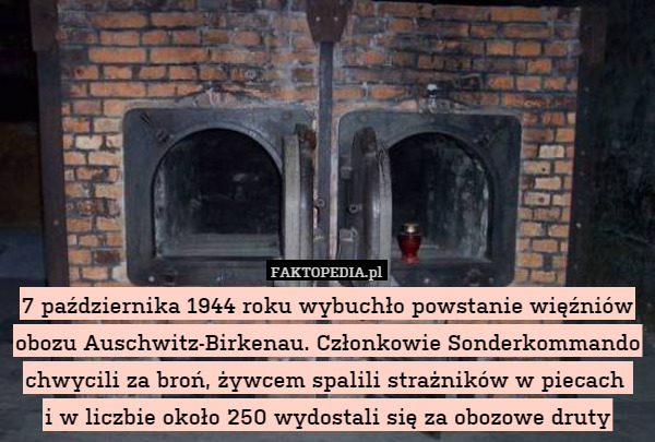 7 października 1944 roku wybuchło powstanie więźniów obozu Auschwitz-Birkenau. Członkowie Sonderkommando chwycili za broń, żywcem spalili strażników w piecach 
i w liczbie około 250 wydostali się za obozowe druty 