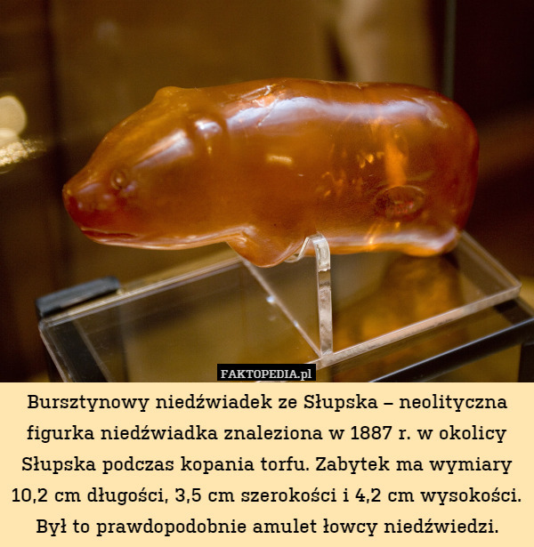 Bursztynowy niedźwiadek ze Słupska – neolityczna figurka niedźwiadka znaleziona w 1887 r. w okolicy Słupska podczas kopania torfu. Zabytek ma wymiary 10,2 cm długości, 3,5 cm szerokości i 4,2 cm wysokości. Był to prawdopodobnie amulet łowcy niedźwiedzi. 