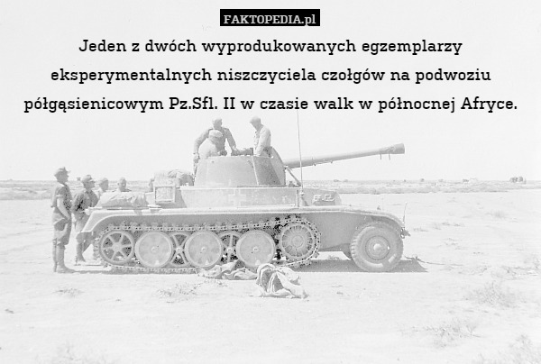 Jeden z dwóch wyprodukowanych egzemplarzy eksperymentalnych niszczyciela czołgów na podwoziu półgąsienicowym Pz.Sfl. II w czasie walk w północnej Afryce. 
