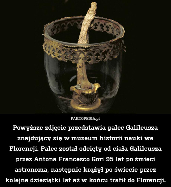 Powyższe zdjęcie przedstawia palec Galileusza znajdujący się w muzeum historii nauki we Florencji. Palec został odcięty od ciała Galileusza przez Antona Francesco Gori 95 lat po śmieci astronoma, następnie krążył po świecie przez kolejne dziesiątki lat aż w końcu trafił do Florencji. 