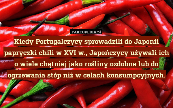Kiedy Portugalczycy sprowadzili do Japonii papryczki chili w XVI w., Japończycy używali ich
o wiele chętniej jako rośliny ozdobne lub do ogrzewania stóp niż w celach konsumpcyjnych. 