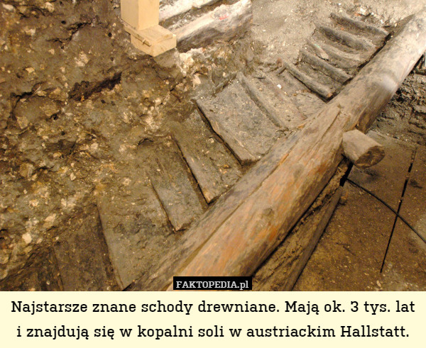 Najstarsze znane schody drewniane. Mają ok. 3 tys. lat i znajdują się w kopalni soli w austriackim Hallstatt. 
