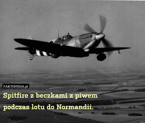 Spitfire z beczkami z piwem
podczas lotu do Normandii. 