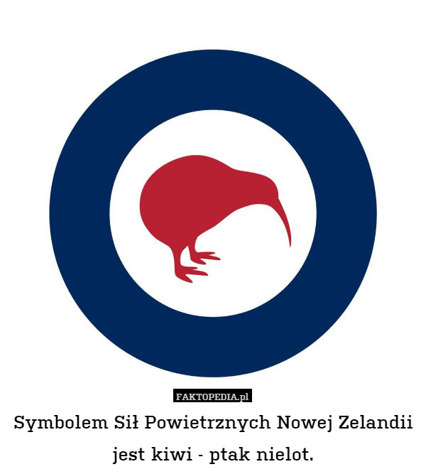 Symbolem Sił Powietrznych Nowej Zelandii
jest kiwi - ptak nielot. 