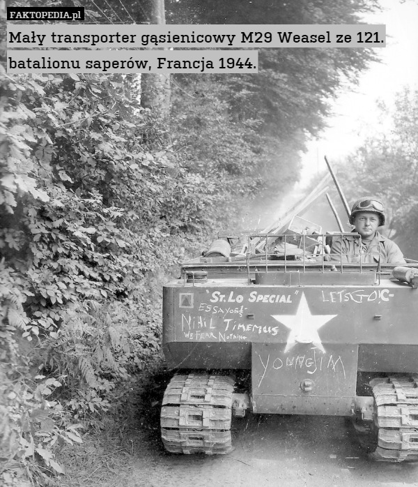 Mały transporter gąsienicowy M29 Weasel ze 121. batalionu saperów, Francja 1944. 
