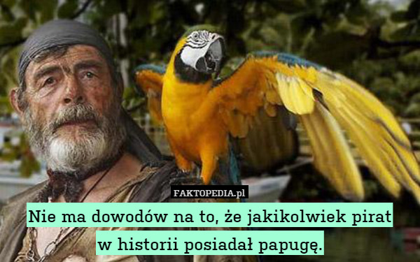 Nie ma dowodów na to, że jakikolwiek pirat
w historii posiadał papugę. 