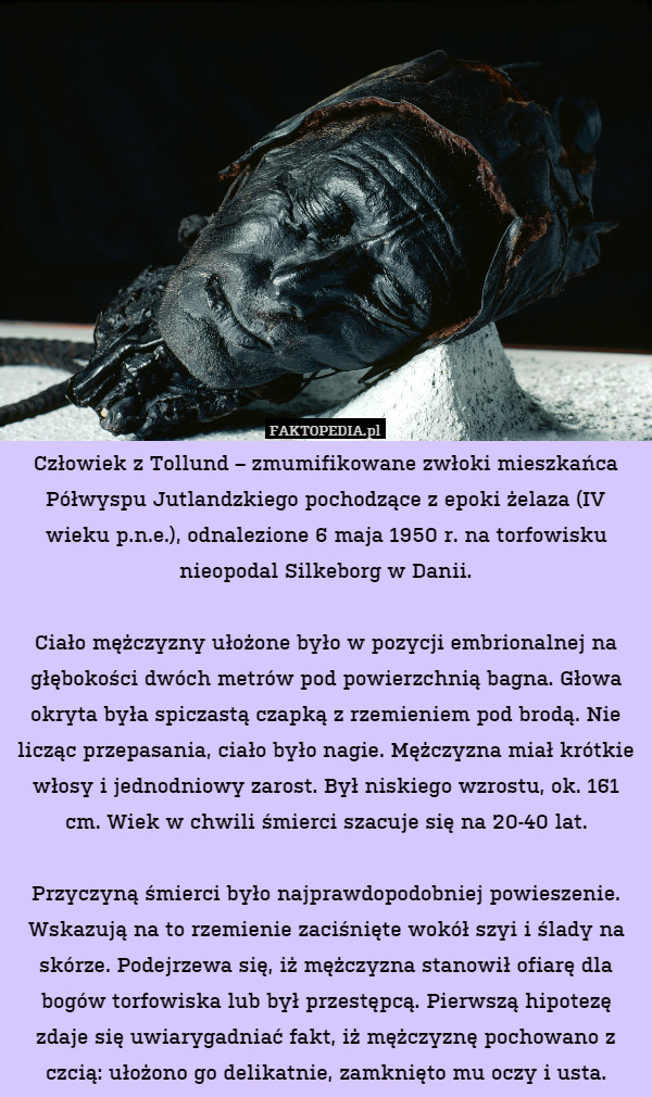 Człowiek z Tollund – zmumifikowane zwłoki mieszkańca Półwyspu Jutlandzkiego pochodzące z epoki żelaza (IV wieku p.n.e.), odnalezione 6 maja 1950 r. na torfowisku nieopodal Silkeborg w Danii.

Ciało mężczyzny ułożone było w pozycji embrionalnej na głębokości dwóch metrów pod powierzchnią bagna. Głowa okryta była spiczastą czapką z rzemieniem pod brodą. Nie licząc przepasania, ciało było nagie. Mężczyzna miał krótkie włosy i jednodniowy zarost. Był niskiego wzrostu, ok. 161 cm. Wiek w chwili śmierci szacuje się na 20-40 lat.

Przyczyną śmierci było najprawdopodobniej powieszenie. Wskazują na to rzemienie zaciśnięte wokół szyi i ślady na skórze. Podejrzewa się, iż mężczyzna stanowił ofiarę dla bogów torfowiska lub był przestępcą. Pierwszą hipotezę zdaje się uwiarygadniać fakt, iż mężczyznę pochowano z czcią: ułożono go delikatnie, zamknięto mu oczy i usta. 