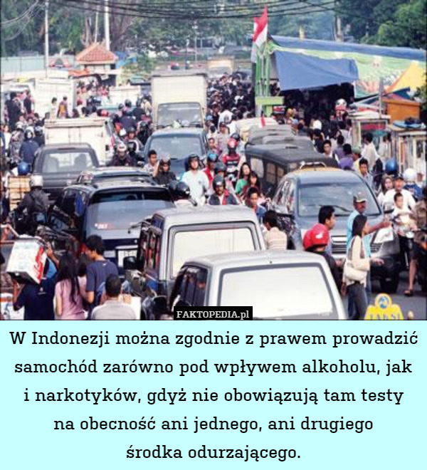 W Indonezji można zgodnie z prawem prowadzić samochód zarówno pod wpływem alkoholu, jak
i narkotyków, gdyż nie obowiązują tam testy
na obecność ani jednego, ani drugiego
środka odurzającego. 
