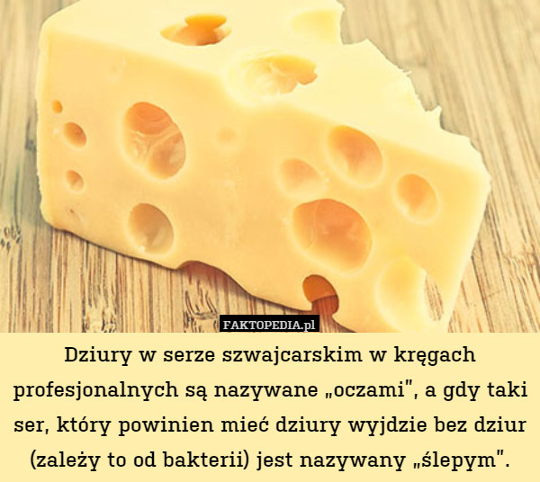 Dziury w serze szwajcarskim w kręgach profesjonalnych są nazywane „oczami”, a gdy taki ser, który powinien mieć dziury wyjdzie bez dziur (zależy to od bakterii) jest nazywany „ślepym”. 