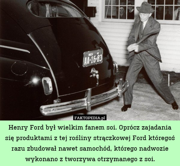 Henry Ford był wielkim fanem soi. Oprócz zajadania się produktami z tej rośliny strączkowej Ford któregoś razu zbudował nawet samochód, którego nadwozie wykonano z tworzywa otrzymanego z soi. 