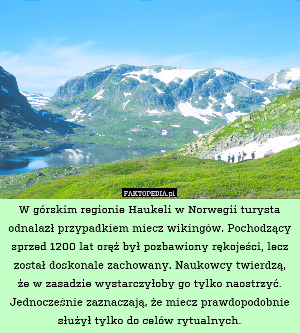 W górskim regionie Haukeli w Norwegii turysta odnalazł przypadkiem miecz wikingów. Pochodzący sprzed 1200 lat oręż był pozbawiony rękojeści, lecz został doskonale zachowany. Naukowcy twierdzą,
że w zasadzie wystarczyłoby go tylko naostrzyć. Jednocześnie zaznaczają, że miecz prawdopodobnie służył tylko do celów rytualnych. 