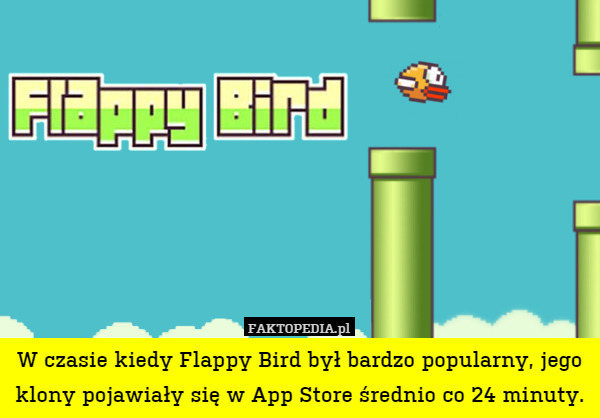 W czasie kiedy Flappy Bird był bardzo popularny, jego klony pojawiały się w App Store średnio co 24 minuty. 