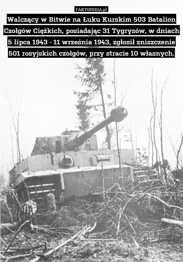 Walczący w Bitwie na Łuku Kurskim 503 Batalion Czołgów Ciężkich, posiadając 31 Tygrysów, w dniach 5 lipca 1943 - 11 września 1943, zgłosił zniszczenie 501 rosyjskich czołgów, przy stracie 10 własnych. 