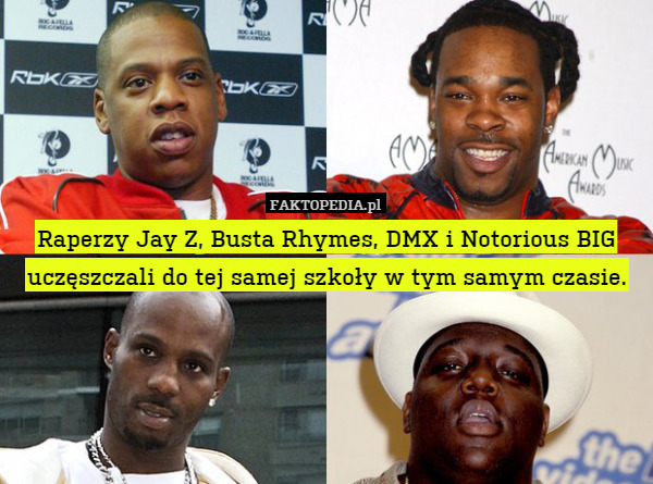 Raperzy Jay Z, Busta Rhymes, DMX i Notorious BIG uczęszczali do tej samej szkoły w tym samym czasie. 