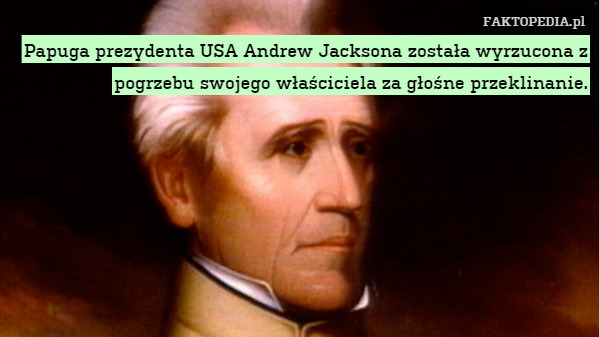 Papuga prezydenta USA Andrew Jacksona została wyrzucona z pogrzebu swojego właściciela za głośne przeklinanie. 
