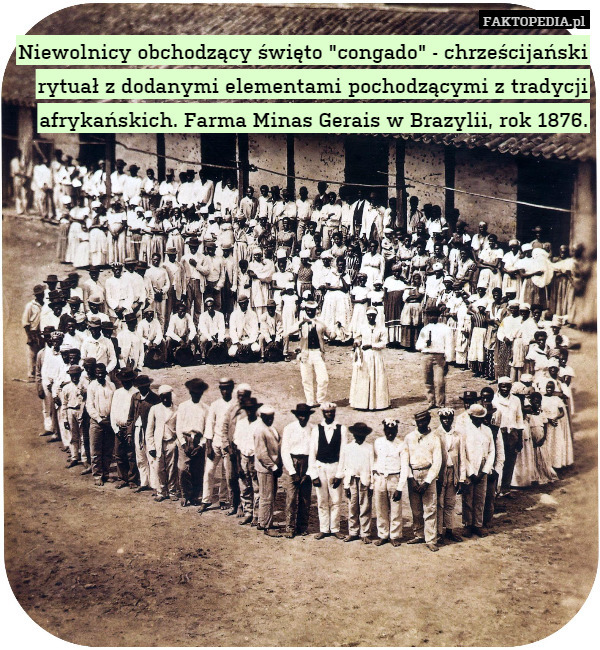 Niewolnicy obchodzący święto "congado" - chrześcijański rytuał z dodanymi elementami pochodzącymi z tradycji afrykańskich. Farma Minas Gerais w Brazylii, rok 1876. 