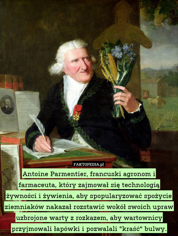 Antoine Parmentier, francuski agronom i farmaceuta, który zajmował się technologią żywności i żywienia, aby spopularyzować spożycie ziemniaków nakazał rozstawić wokół swoich upraw uzbrojone warty z rozkazem, aby wartownicy przyjmowali łapówki i pozwalali "kraść" bulwy. 