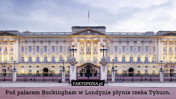 Pod pałacem Buckingham w Londynie płynie rzeka Tyburn. 