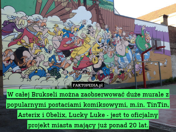 W całej Brukseli można zaobserwować duże murale z popularnymi postaciami komiksowymi, m.in. TinTin, Asterix i Obelix, Lucky Luke - jest to oficjalny
projekt miasta mający już ponad 20 lat. 